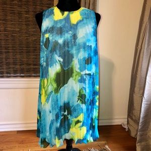 BB Dakota pleated dress.